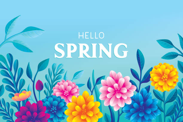 hello spring over colourful illustrations of flowers